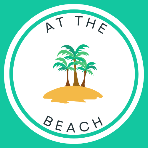 A song cover of At the Beach, one of the speech therapy songs by First Words Dance Party.